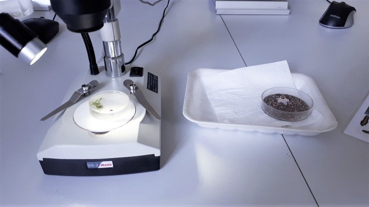 Listvyanka Baikal Museum (14) - Kopie